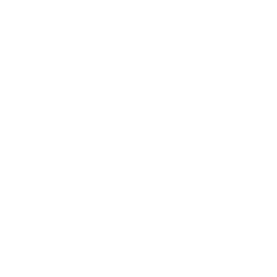 Vanguard